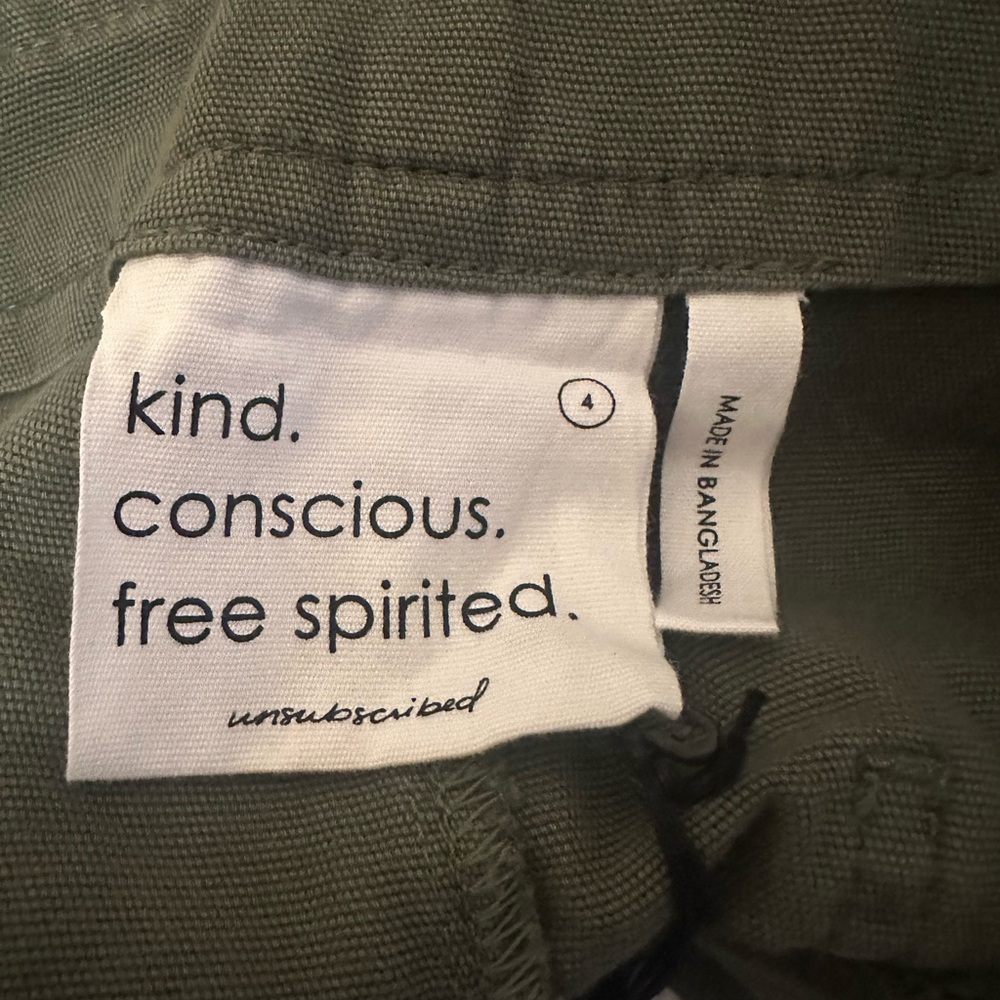 Unsubscribed Utility Pants - Picture 6 of 9